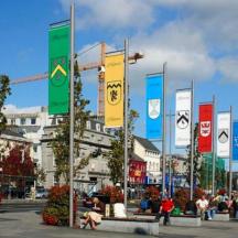 a bunch of colorful signs on poles in a city
