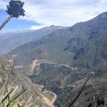 a tree on top of a mountain overlooking a valley