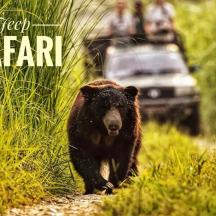 a bear walking down a path in the grass