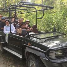 a group of people riding in the back of a truck