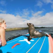 eine Frau auf einem Paddleboard mit einer Robbe darauf