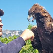ein Mann, der eine Vogelstatue hält