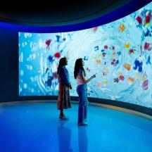 two people standing on a stage looking at a painting