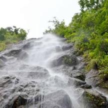 a waterfall on the side of a mountain with trees