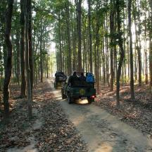 a jeep driving down a dirt road in a forest