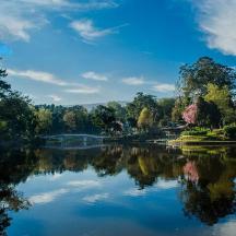a view of a river with trees and a bridge