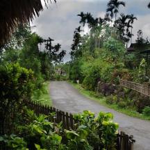 a road in a village with a fence and trees