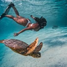a man swimming next to a turtle in the water
