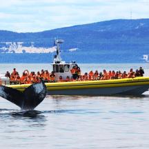 a group of people on a boat in the water