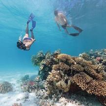 two people swimming in the ocean near a coral reef