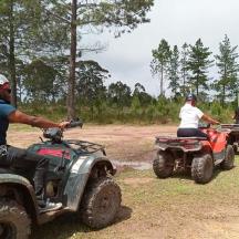 un grup de persones que condueixen quads per un camí de terra