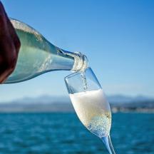 a person pouring a glass of wine in front of the water