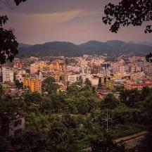 a view of a city with buildings and trees