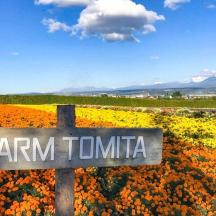 a sign in front of a field of flowers
