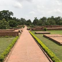 a brick pathway in a park with grass and trees