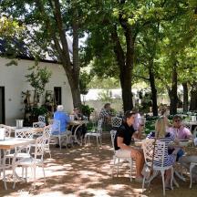 a group of people sitting at tables in a park
