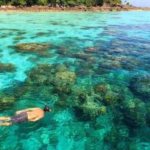 a man is swimming in the water near an island