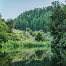 a river in a forest with trees reflecting in the water