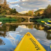 a group of people in kayaks on a river