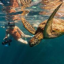 a man taking a picture of a sea turtle