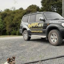 a dog is sitting in front of a truck