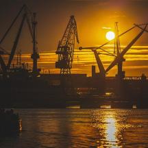 een groep kranen op het water bij zonsondergang
