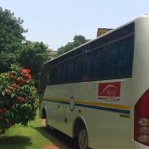 a bus parked next to a tree with red flowers