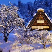 eine Hütte im Schnee mit schneebedeckten Bäumen