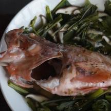a plate of food with a fish and vegetables