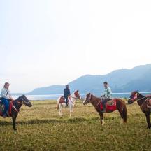 a group of people riding horses in a field