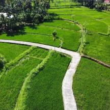 an aerial view of a road in a green field