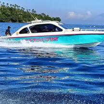 a blue and white boat in the water