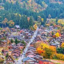 eine Luftaufnahme eines Dorfes im Herbst