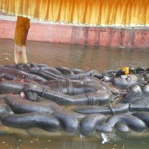 a statue of an elephant laying in the water
