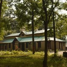 a house in the middle of a forest of trees