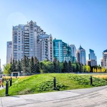 a park in a city with tall buildings