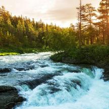 en flod med strømfald midt i en skov