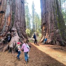 a group of children standing in front of a giant tree