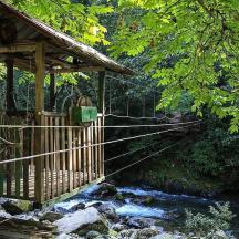 eine Holzbrücke über einen Bach mit einem Bach
