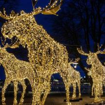 a christmas light sculpture of three deer with lights