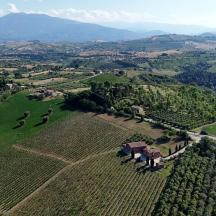 an aerial view of a farm in a field