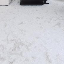 a living room with a white carpeted floor