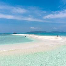 a beach with a group of people in the water