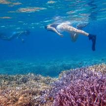 a person swimming over a coral reef