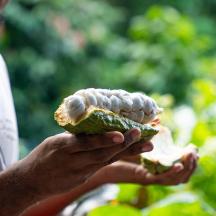 a man holding a sandwich with mushrooms on it