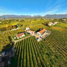 Поглед из ваздуха на кућу у винограду