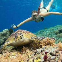 a woman swimming next to a turtle in the ocean