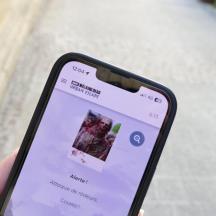 a person holding a cell phone in their hand