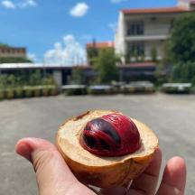 a person holding a piece of bread with a cherry on it