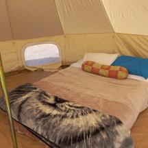 a bed in a tent with a cat laying on it